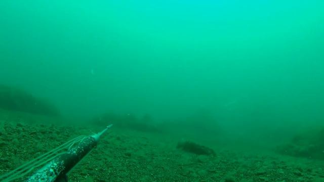 Подводная охота Черное море кефаль август 2014 ЮБК смотреть онлайн