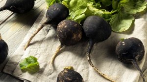 Полезные Свойства Редьки, Чем Полезна Черная и Зеленая Редька