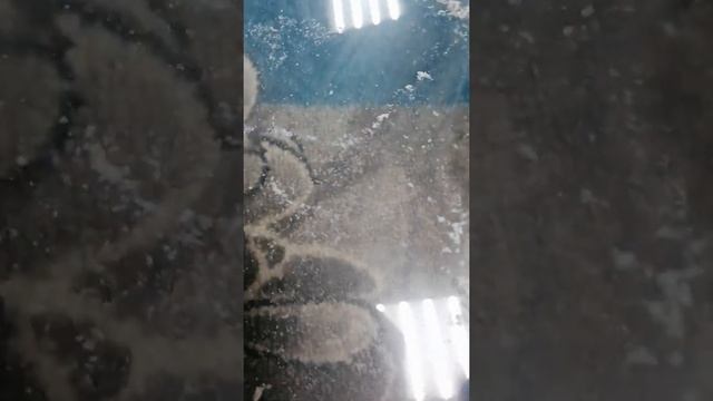 Удаление краски и пятен быстро и легко