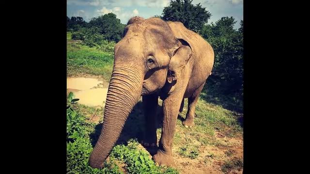 Брошенный в раю 99 "Думающий не знает,знающий не думает!" смотреть онлайн