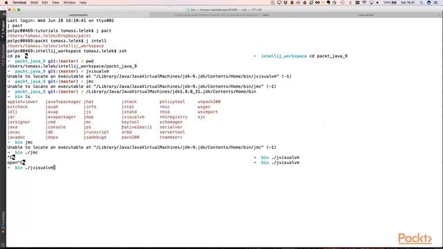 Writing High Performance Java Application in Java 9 : Detecting Mem Leaks JVisualVM | packtpub.com смотреть онлайн
