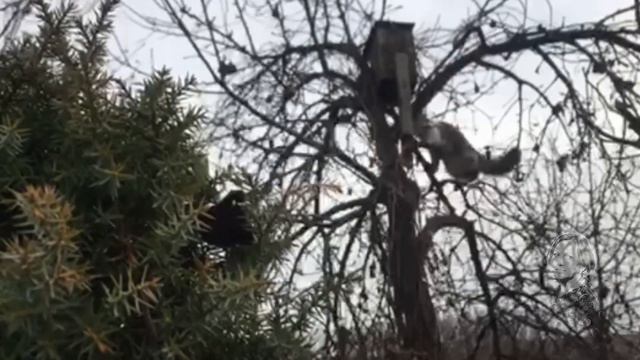 ЭЙ ВЫ, ТАМ НА ВЕРХУ! Я К ВАМ В ГОСТИ ПРИШЛА! смотреть онлайн