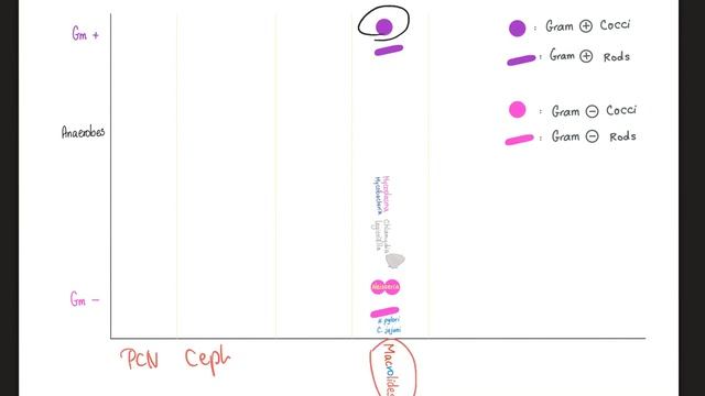 Azithromycin смотреть онлайн
