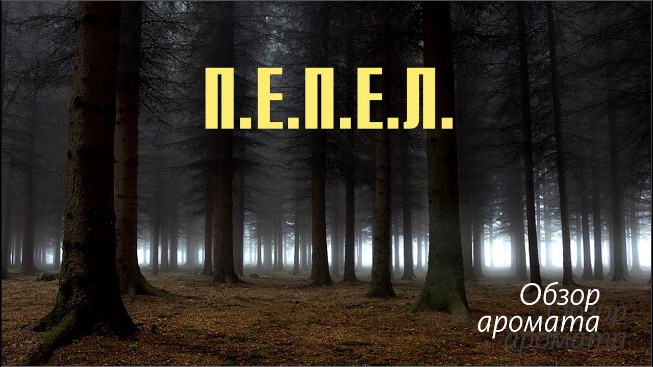 АРОМАТ СИБИРСКИХ ХВОЙНЫХ ЛЕСОВ: Пепел Ash Holynose Parfums // ОБЗОР ПАОФЮМА // Fragrance Review 2 смотреть онлайн