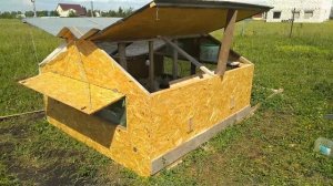 как вырастить бройлеров.  бройлеры в клетке на улице.