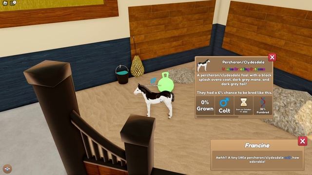 Wild Horse Islands | Breeding Ep 3 (Percheron Unique Coats) смотреть онлайн