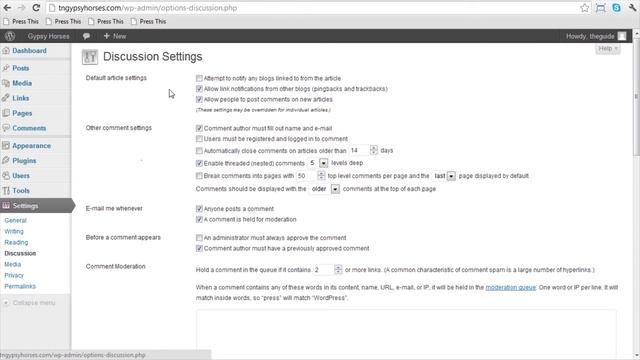 How to Configure WordPress Options смотреть онлайн