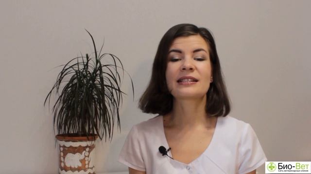 Сделай Себя Счастливым