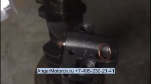 2441025001 Натяжитель цепи ГРМ G4KD G4KE G4FC G4FA