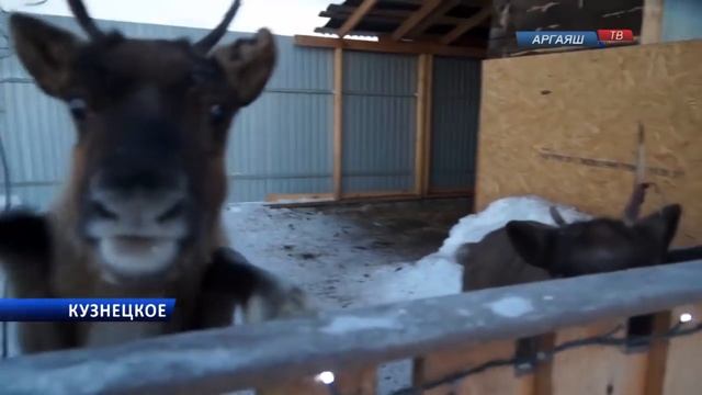 Дед Мороз меняет адрес. Теперь у него появилась собственное подворье в селе Кузнецком смотреть онлайн