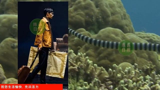 【陈氏日报4月26日】肖战将出演《#侠之大者》？#肖战 三年参演72场《#如梦之梦》，淡离娱乐圈？肖战的明牌是什么？#xiaozhan #showbiz