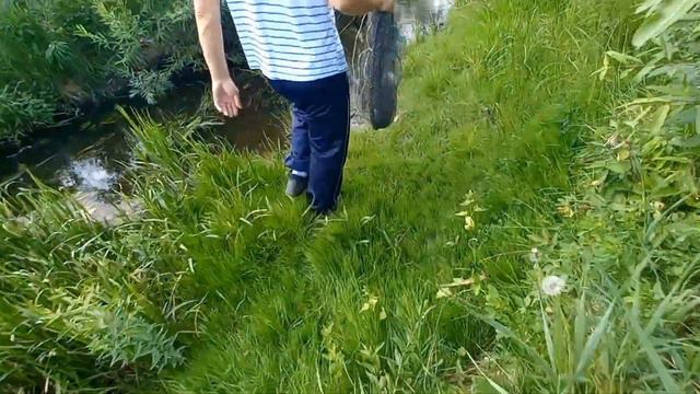 Ставим Верши в ручей у нас за огородом и в яму где водится Щука на 12 кг ! 🐟. смотреть онлайн