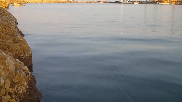 RIVER2SEA BUBBLE PEN 80 topwater lures action test смотреть онлайн