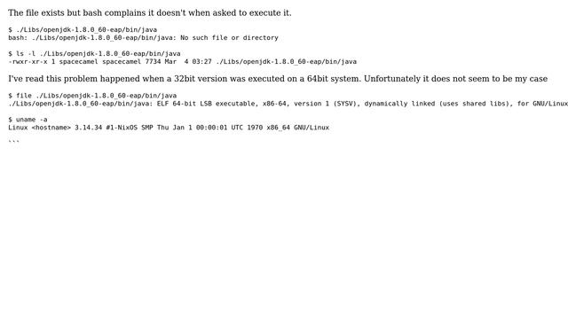 Java does not run with error "No such file or directory", despite it exists and is x86_64 смотреть онлайн