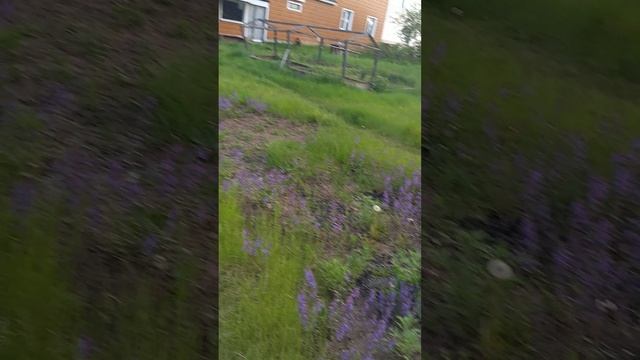 Божественная Красота ❤