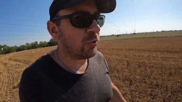 Урожайность льна на разных нормах высева