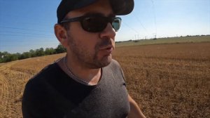 Урожайность льна на разных нормах высева