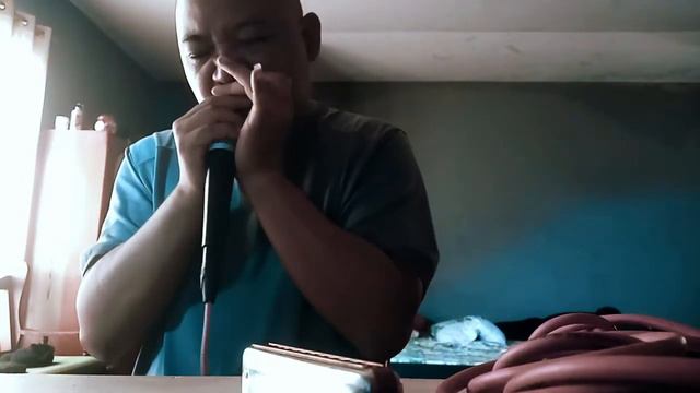 Lal Isua kan thiantha ber (What a friend) Harmonica (Phaiphuleng) смотреть онлайн