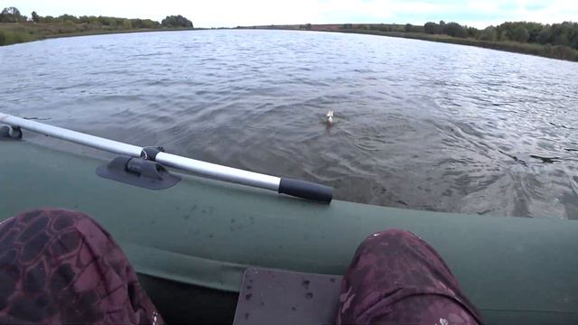 ОТКУДА СУДАК НА ДИКОМ ПРУДУ!!! ШИКАРНЫЕ ОКУНЯ смотреть онлайн