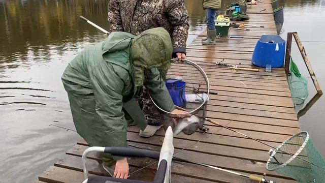 Поймали форель на блесну! смотреть онлайн