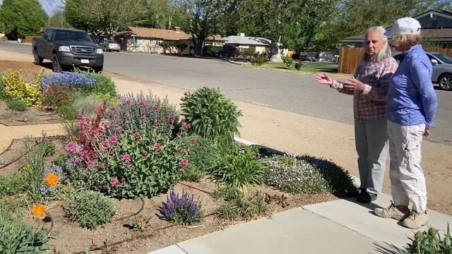 Visiting a Pollinator Garden смотреть онлайн