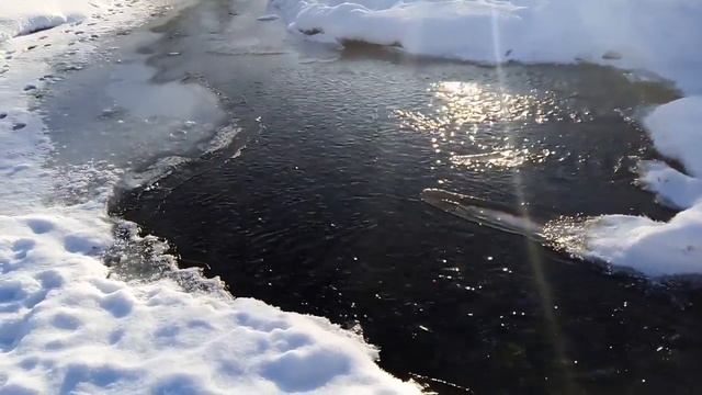 ЗИМНЯЯ ПРОГУЛКА смотреть онлайн