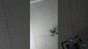 Тттттт