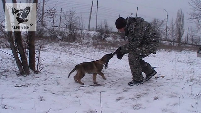 MOV05E смотреть онлайн