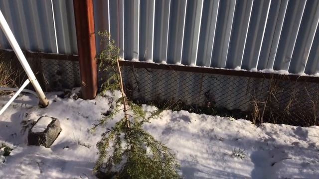 Моя любимая дача зимой!!! смотреть онлайн