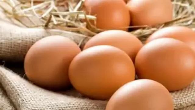 ЧТО будет, если посадить в землю СЫРОЕ ЯЙЦО И ШКУРКИ БАНАНА! смотреть онлайн