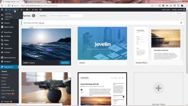 How to Install a WordPress theme? Beginners Guide смотреть онлайн