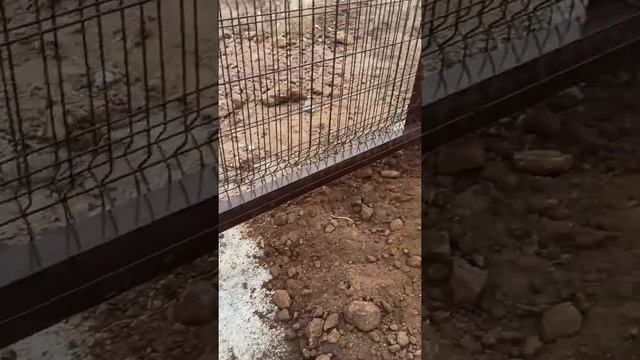 3D забор смотреть онлайн