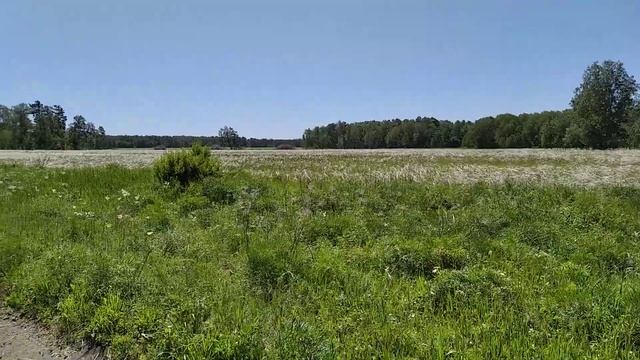 Природа, Сев Каз Обл. смотреть онлайн