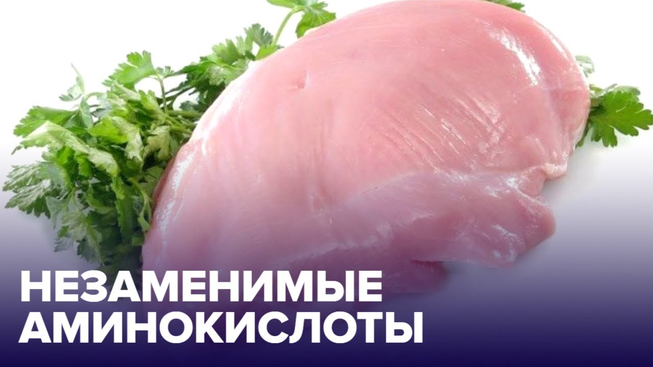 Незаменимые АМИНОКИСЛОТЫ и зачем они нужны? смотреть онлайн