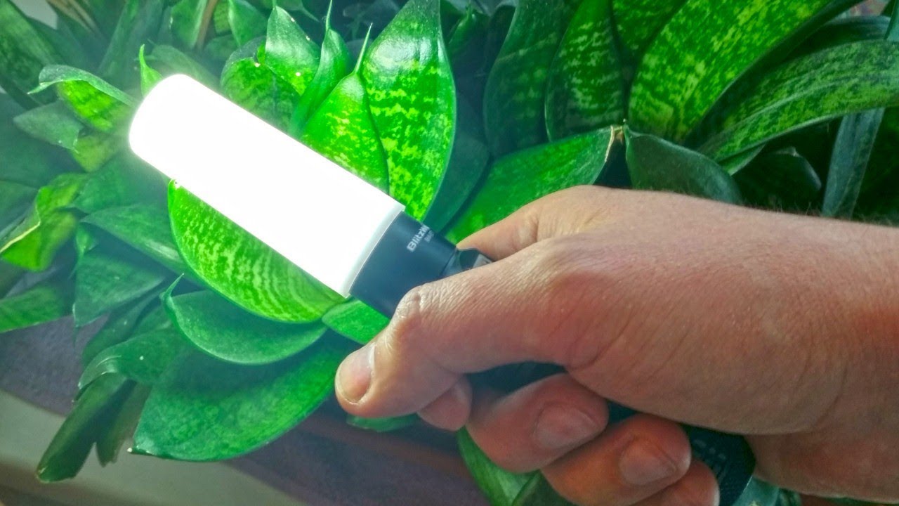 3 УМНЫХ УСТРОЙСТВА ОТ BLITZWOLF смотреть онлайн