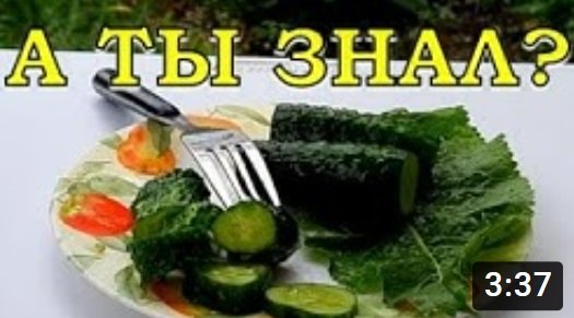 Что делать с переросшими ОГУРЦАМИ? Супер-рецепт??? смотреть онлайн