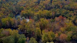 Осенняя охота на Ворону. Air Gun Pest Control №27. Crow Hunting 2023. Кроухантинг. Jack Hunter.