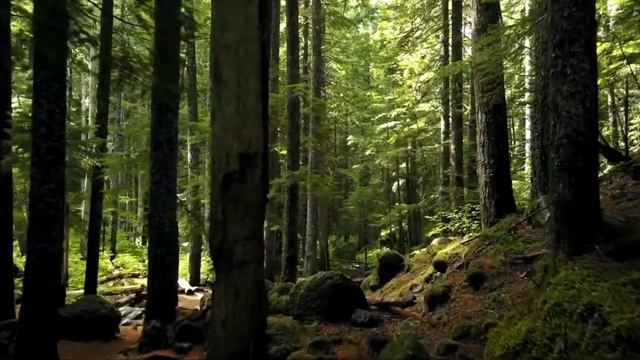 Гарри Поттер и Философский камень. смотреть онлайн