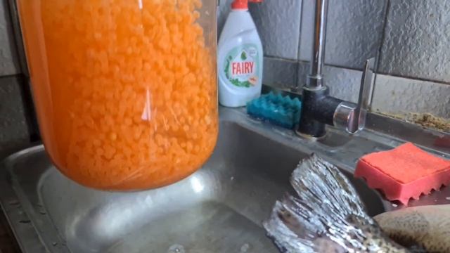 Мастерство и Креативность