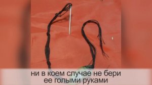 Советы от знакомой знахарки! Вот Как найти подклад на порчу