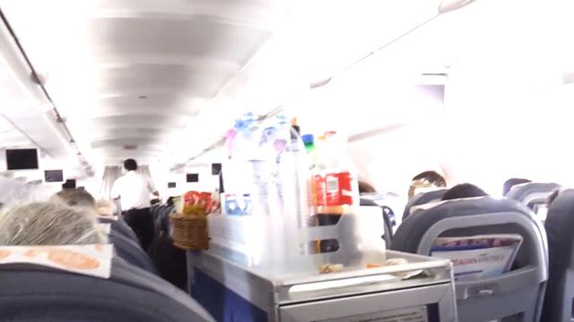 Азал.чем кормят и какая еда.