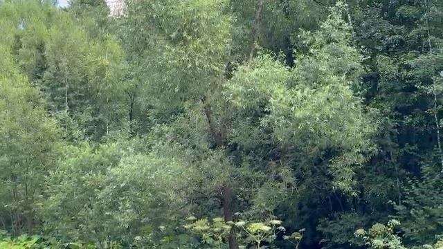 зу в д. Мостки :691 смотреть онлайн