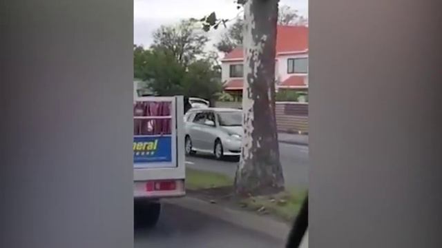 The moment police officer apprehends alleged Christchurch shooter смотреть онлайн