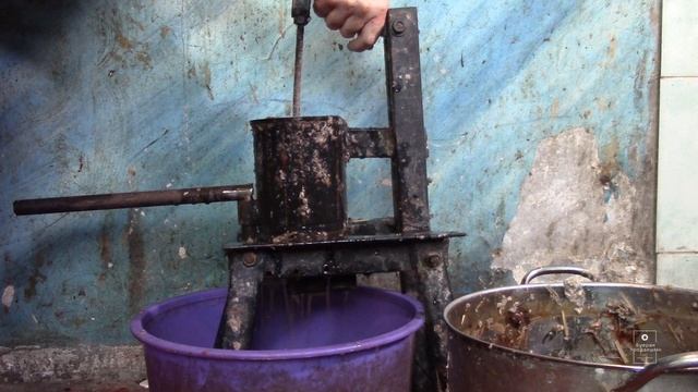 Как делать брикеты из камыша, тростника, рогоза и другой речной растительности смотреть онлайн