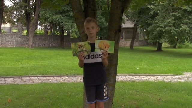 Видеовстречи "Усы лапы хвост" выпуск 6 «Садовая соня» смотреть онлайн