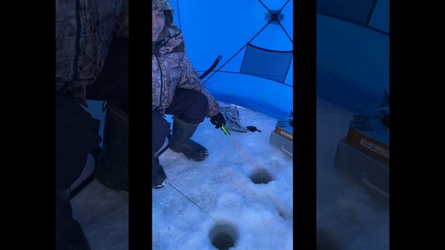 Поездка на рыбалку в Усть-Камчатск. 05.01.23. Часть третья- день третий! смотреть онлайн