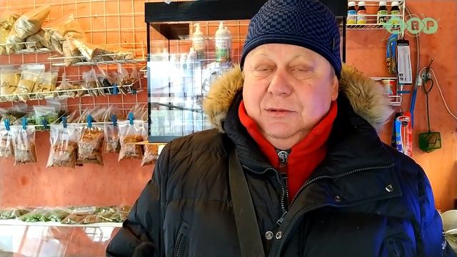 Приехал на Птичий Рынок за рыбками и встретил Костика! смотреть онлайн