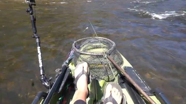 Hobie fishing kayaks in SHALLOW rivers (why they are IDEAL) смотреть онлайн