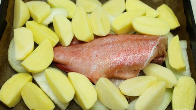 Сборник рецептов