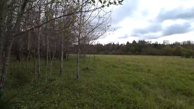 Зимние грибы. 28сент 2019 (3) Пермь. смотреть онлайн